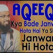 Aqeeqah Kya Bade Janwar Me Hota Hai Ya Sirf Choty Janwar Me Hi Hota