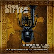 Shaka Amazulu The 7Th Gifted Education Feat Napoleon Shaka Amazulu