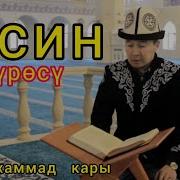 Сура Ясин Нурмухаммад