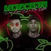 Davi Lemos Dj Lentamente Feat Mc Leleto