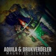 Section Ix Drukverdeler Dj Bim Remix Aquila