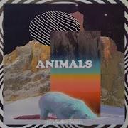 Animals The Shadowboxers La Felix