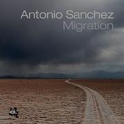 Antonio Sanchez One For Antonio