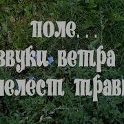 Шелест Травы В Поле