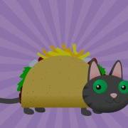 Tacocat