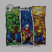 The South Instrumental Deluxe Edition Cunninlynguists