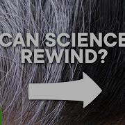 Can Gray Hair Be Reversed Scishow