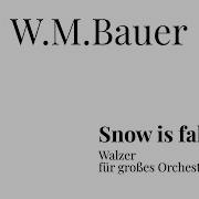 Snow Bauer