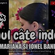 Mariana Si Ionel Band