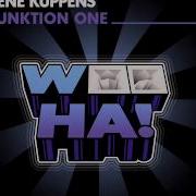 Rene Kuppens Funktion One