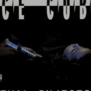 Down For Whatever Ice Cube