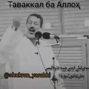 Таваккал Ба Аллох
