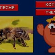 Копатыч Песня Пчеловод