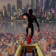 Spiderman Lnto The Spider Verse M