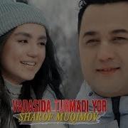 Sharof Muqimov Vadasida Turmagan Yor 2019