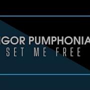 Igor Pumphonia Set You Free