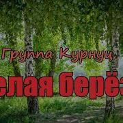 Белая Береза Группа