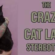 Cat Stigma