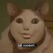 Бу Прости Что Напугал