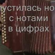 Спустилась Ночь С Нотами В Цифрах