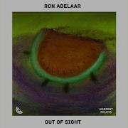 Out Of Sight Ron Adelaar