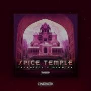 Spice Temple Overdrive Remix Tigerlily Dimatik