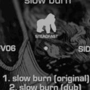 Slow Burn Echologist