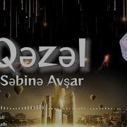 Sebıne Avsar Qezel