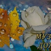 Минус Песни Родник Татьяна Козловская