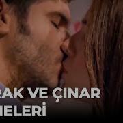 Cinar Ve Toprak