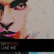 Like Me Riskykidd