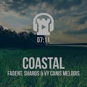 Coastal Fadent Shards Vy Canis Melodis