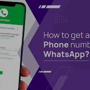 Real Whatsapp Number