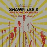 Shawn Lee Bollywood