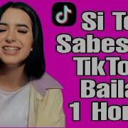 Mix Tik Tok 2021 Si Te Lo Sabes Baila