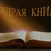Аму Мом Мудрая Книга Ответы На Твои Вопросы