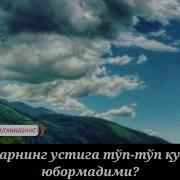 Fil Surasi O Zbekcha Tarjimasi Bilan Фил Сураси Ўзбекча Таржимаси Билан