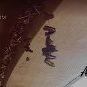 Небо Кувырком Radio Edit