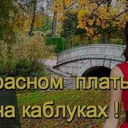 Пётр Лысенко Недотрога Моя