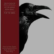 Zeitgeist Hawk