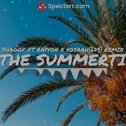 In The Summertime Remix