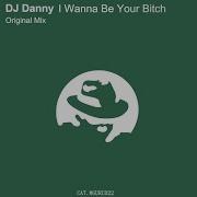 Dj Danny I Wanna Be Your Bitch