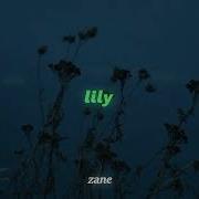 Alan Walker Lily Slowed