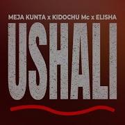 Meja Kunta X Kidochu Mc Elisha Ushali Official Audio Meja Kunta