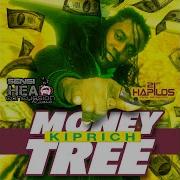 Money Tree Kiprich