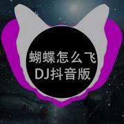 蝴蝶怎么飞 Dj抖音版