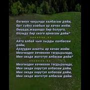 Алтынай Нарбаева Мен Сизди Жоготуп Албасам Дейм