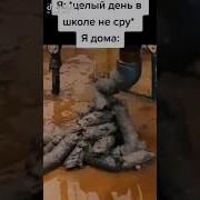 Звук Жидкого Поноса Мем
