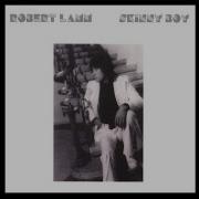 Robert Lamm One Step Forward Two Steps Back
