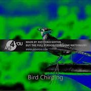 Autovocoding Sound Effect